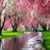 Tracy Kennedy's profile image