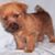 Cindy Schuyler Crowe's profile image