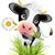Sheila Holstein's profile image