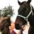 Tricia Walshe Skrobarczyk's profile image