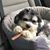 Denise M. Adler's profile image