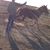 Dalton James Stevens's profile image