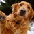 Micheline Baker's profile image