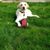 Mary T Brasseaux's profile image