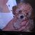 Lynette Melaku's profile image