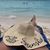 Terri Futrell Hobson's profile image