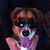 Shawn Stotts's profile image