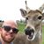 Roy Maxton's profile image
