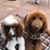 Joanne Dare Rubia Hart's profile image