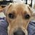 Emily Lin Butterfield Fairbanks's profile image