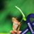 Elizabeth Grasso's profile image