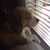 Rosa C. Perez's profile image