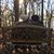 Christy Burns Morris's profile image