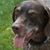Kevin Vasey's profile image