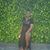 Channell White's profile image