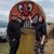 Alicia Skelton's profile image