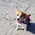 Emily Houck's profile image