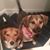 Judith Tuttle's profile image