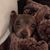 Jeannine Ranola Flanagan's profile image