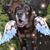 Kathi Krueger's profile image