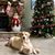 Missy Ramey Ervin's profile image