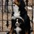 Lisa Corrao's profile image