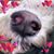Michelle Bright's profile image