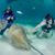 Carol Kristianson's profile image