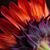 Stephanie Jansen's profile image