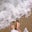 Isabela Schlup's profile image