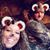 Kimberly Hale-Perry's profile image