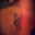 Flavia Freitas's profile image