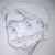 Martin Österlund's profile image