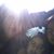 Connie Vallejo's profile image