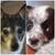 Melaine King's profile image