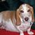 Deb Beard's profile image