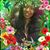 Patricia Young's profile image