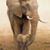 Stacy Rihn's profile image