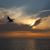 Laura Cybulak's profile image