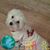 Debbie Baker-Oliver's profile image