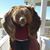 Ryan Huck's profile image