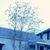 Lora Hougas's profile image