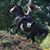 Jillian Becker's profile image