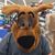 Trebor Drahcir's profile image