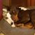 Elaine Hopper's profile image