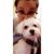 Shannon Tevere Rayfield's profile image