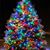 Mary Talbot Brown's profile image