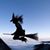 Dawn Marie's profile image