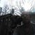 David Pilgreen's profile image