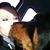 Christine Wills's profile image